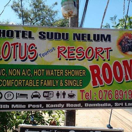 Lotus Inn Tourist Resort Dambulla Eksteriør bilde