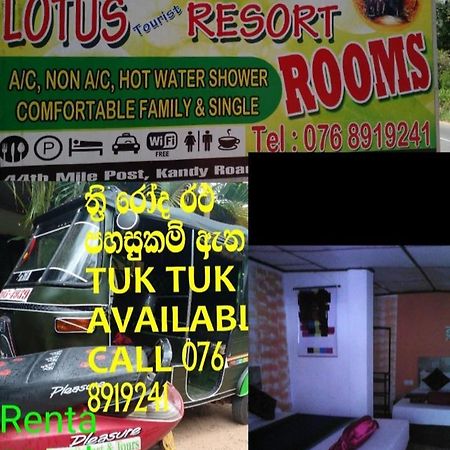 Lotus Inn Tourist Resort Dambulla Eksteriør bilde