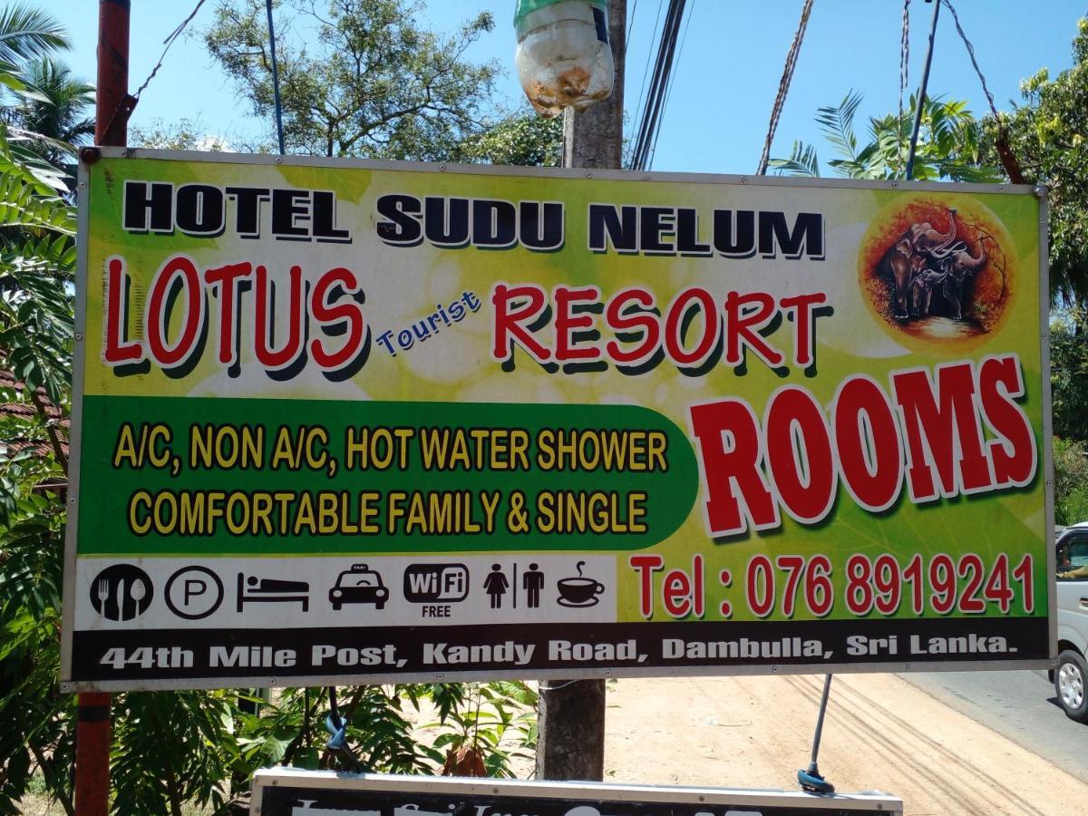 Lotus Inn Tourist Resort Dambulla Eksteriør bilde