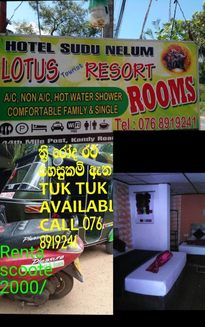 Lotus Inn Tourist Resort Dambulla Eksteriør bilde