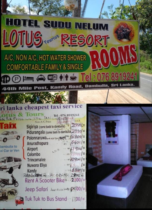 Lotus Inn Tourist Resort Dambulla Eksteriør bilde