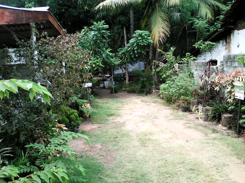 Lotus Inn Tourist Resort Dambulla Eksteriør bilde