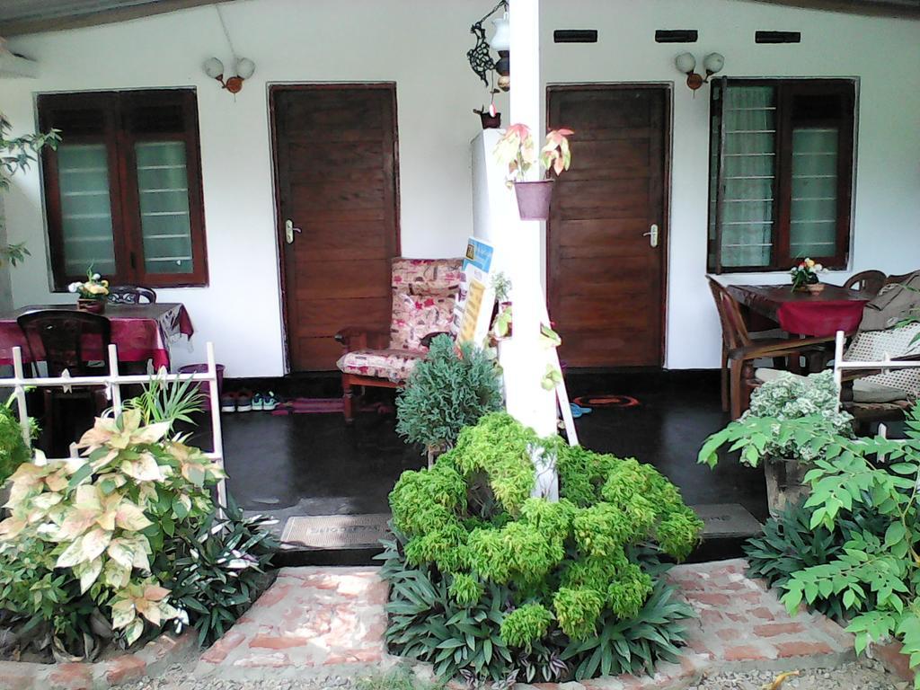 Lotus Inn Tourist Resort Dambulla Eksteriør bilde