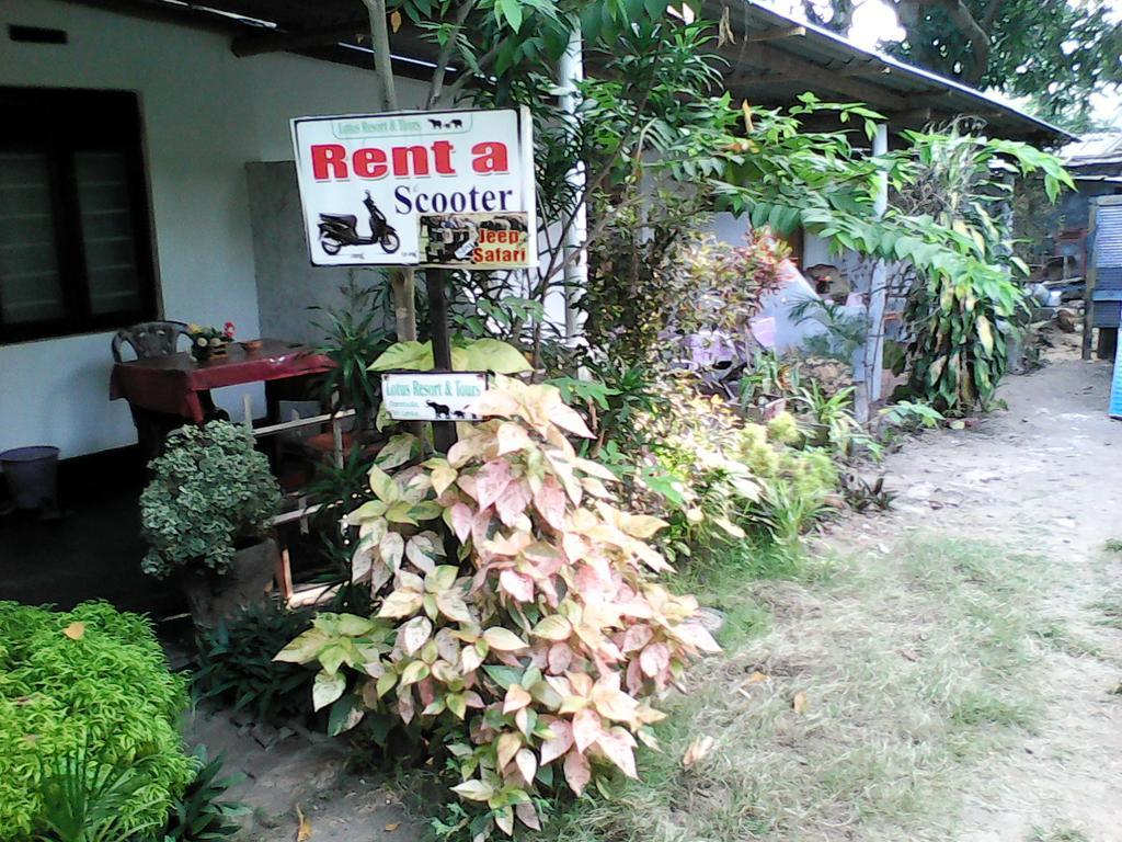 Lotus Inn Tourist Resort Dambulla Eksteriør bilde