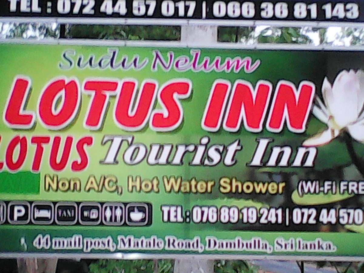 Lotus Inn Tourist Resort Dambulla Eksteriør bilde