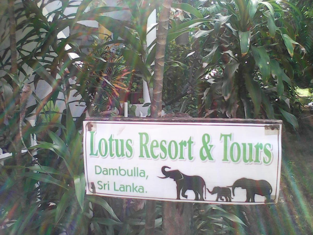 Lotus Inn Tourist Resort Dambulla Eksteriør bilde
