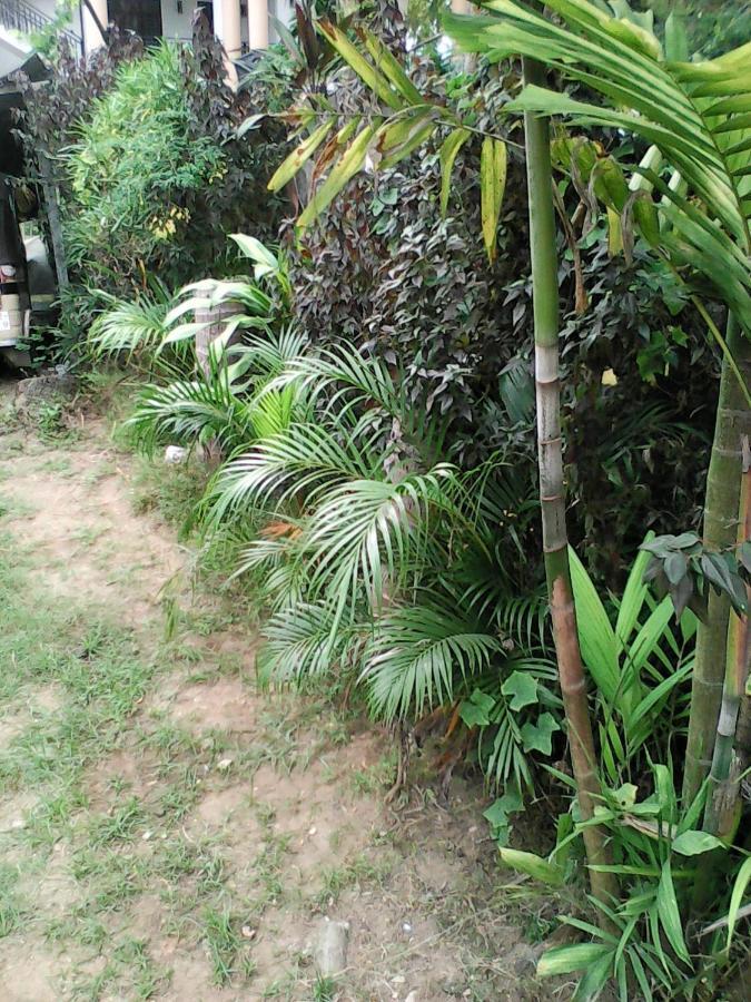 Lotus Inn Tourist Resort Dambulla Eksteriør bilde
